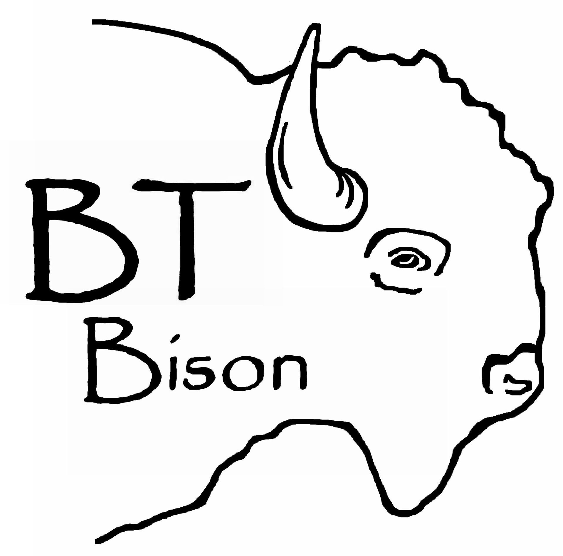 bt bison
